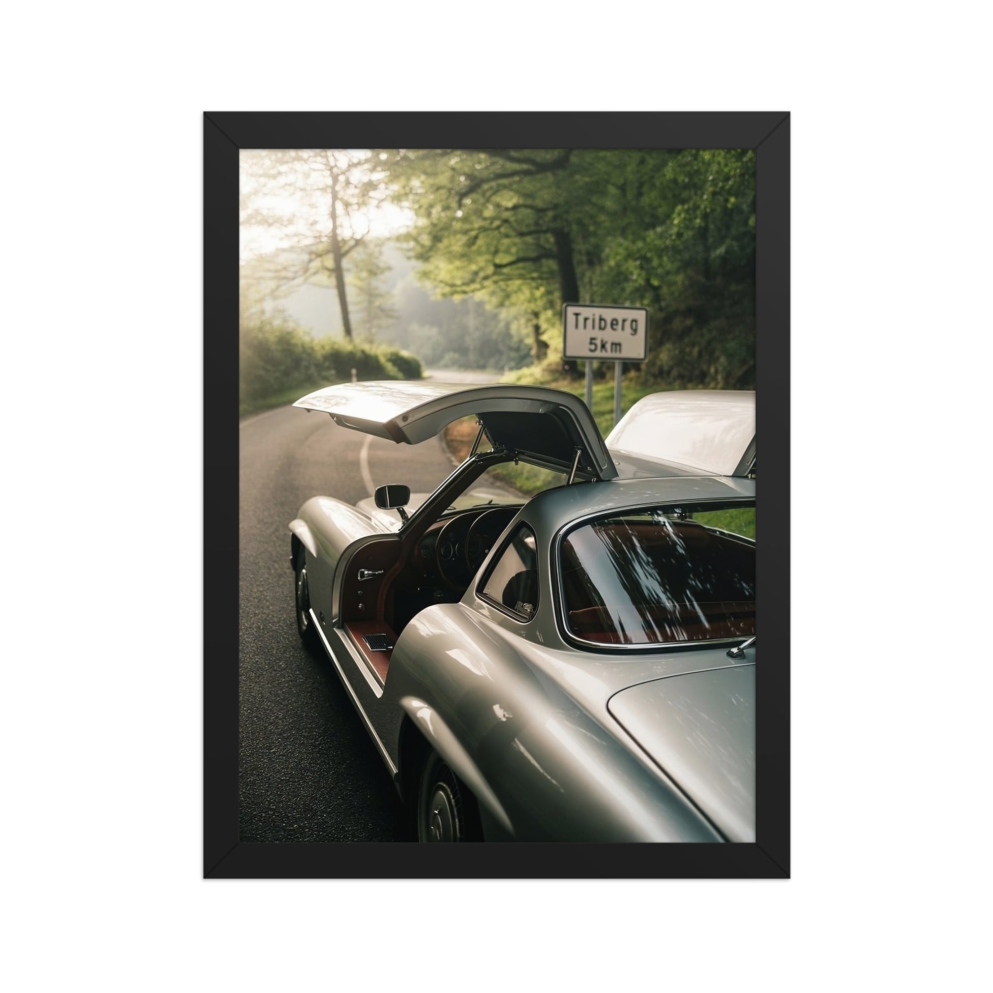 "Gullwing"