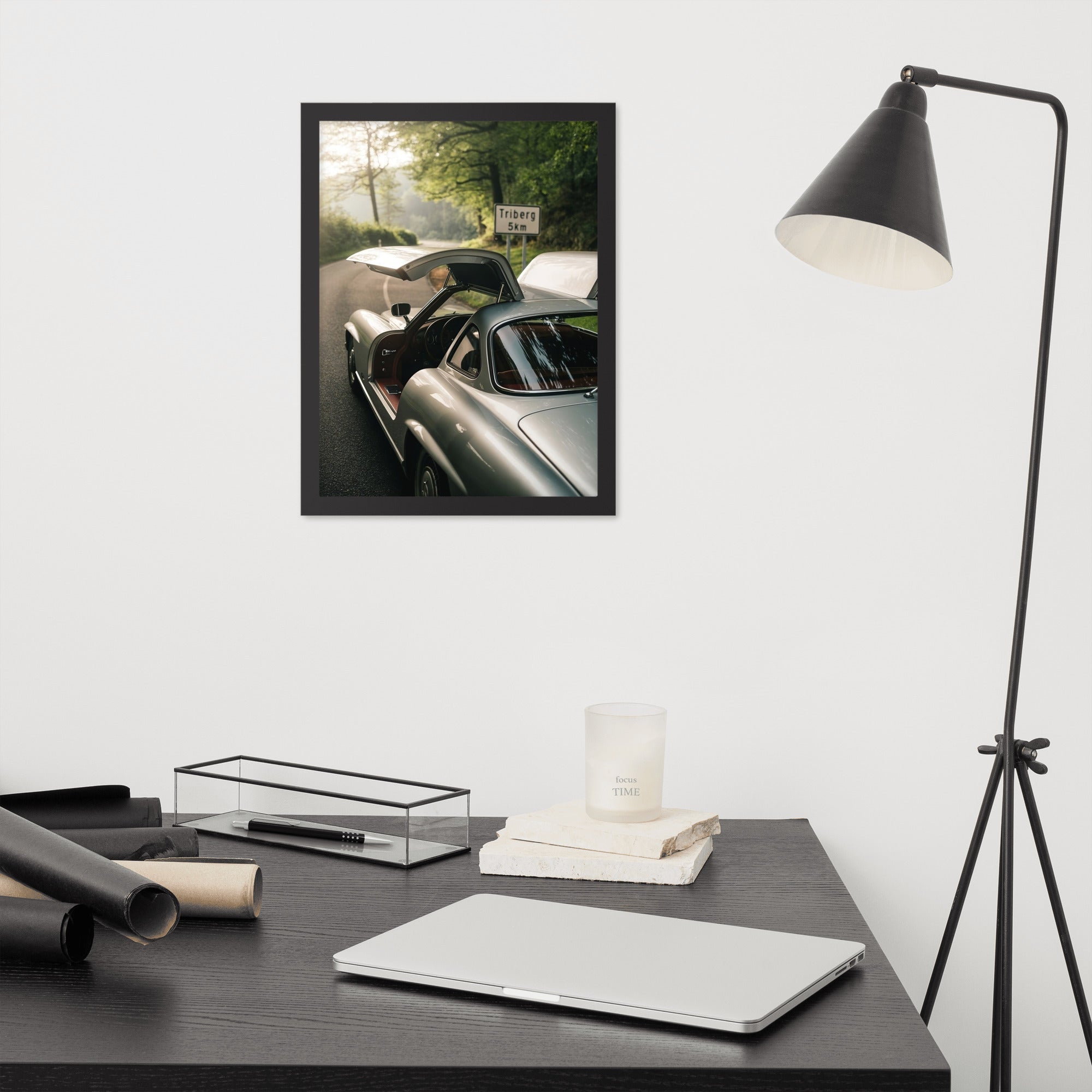 Gerahmtes Poster "Gullwing"