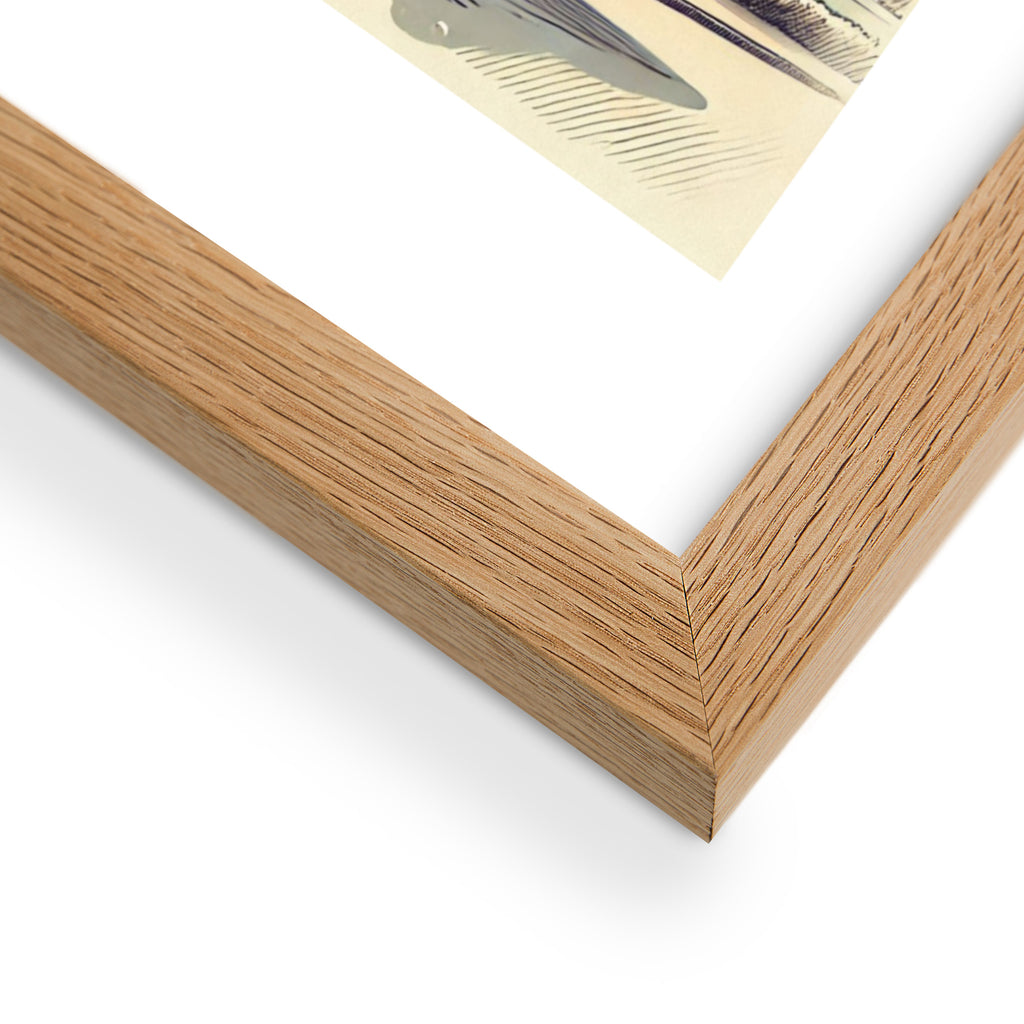Framed poster "RR in summer"