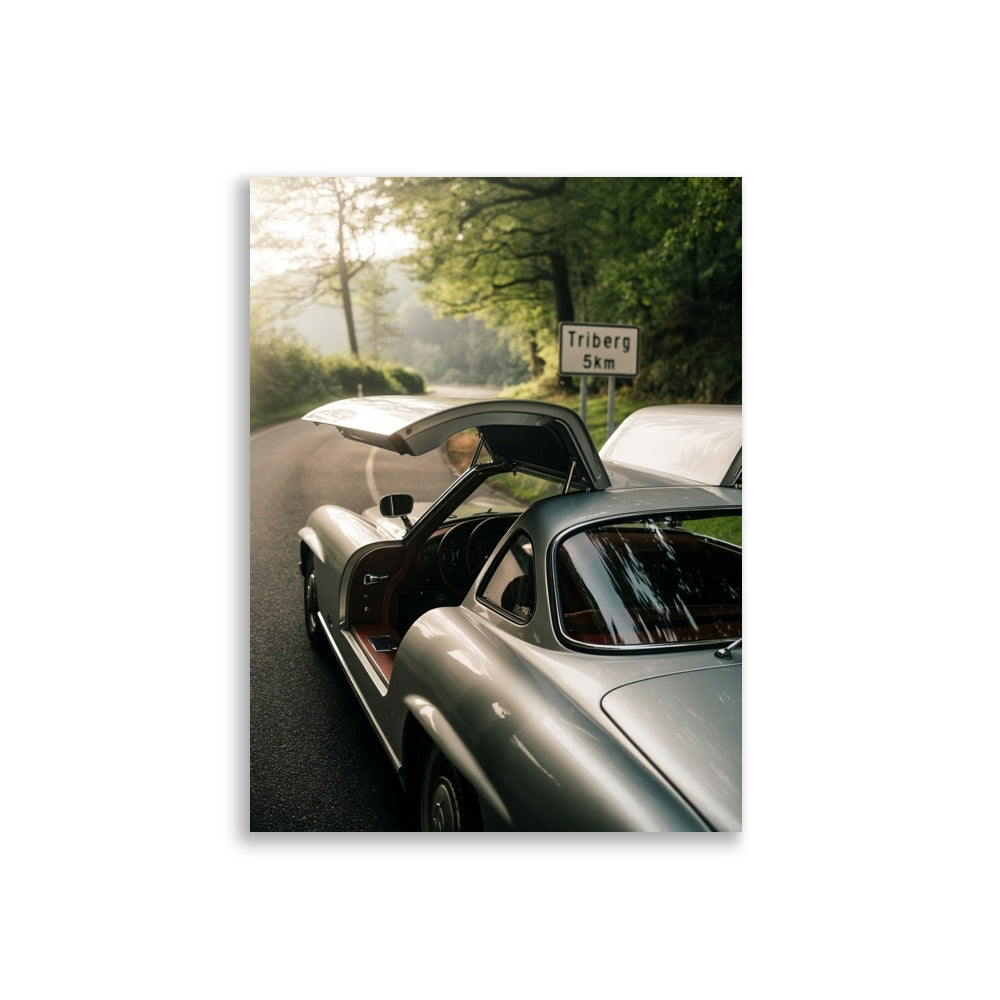 Poster "Gullwing"